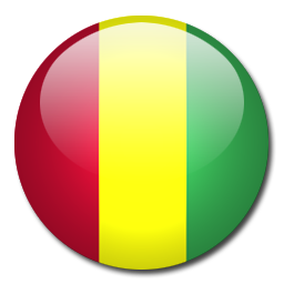 Gwinea U20 logo