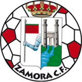 Zamora logo